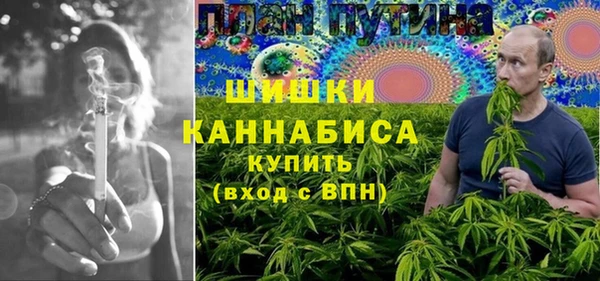 МДПВ Бронницы
