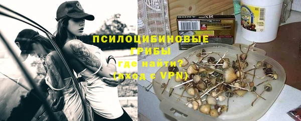 МДПВ Бронницы